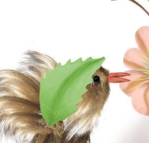 Creation of The Bird: Step 14